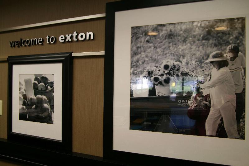 ホテル Hampton Inn Downingtown/exton