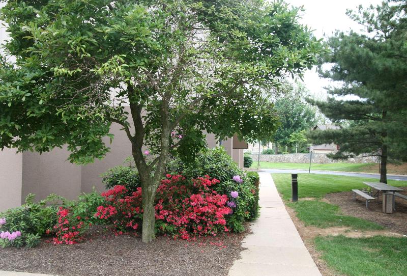 ホテル Hampton Inn Downingtown/exton