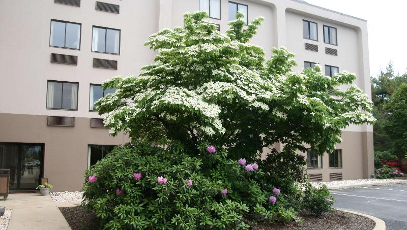 ホテル Hampton Inn Downingtown/exton