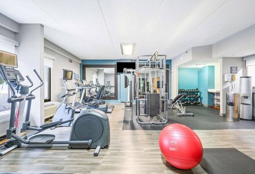 בית מלון כפרי Hampton Inn St. Louis/westport