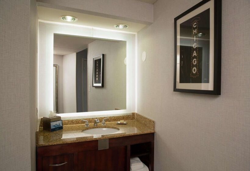 فندق Hilton Chicago/oak Lawn