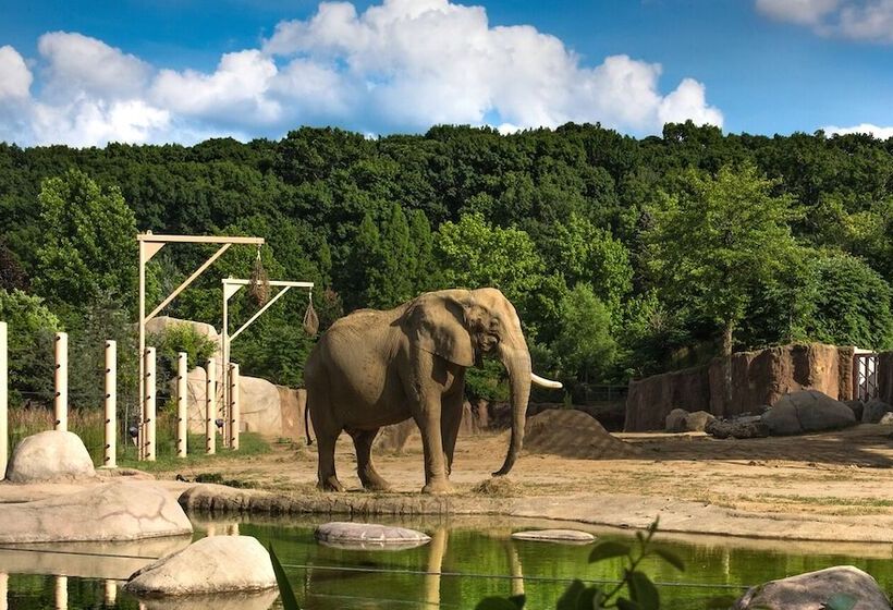 هتل La Quinta By Wyndham Cleveland Airport West