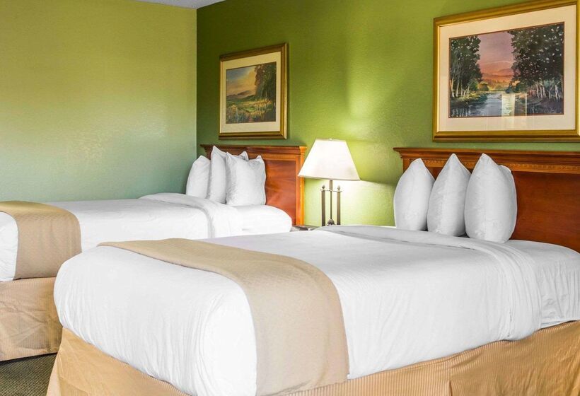 호텔 Quality Inn & Suites