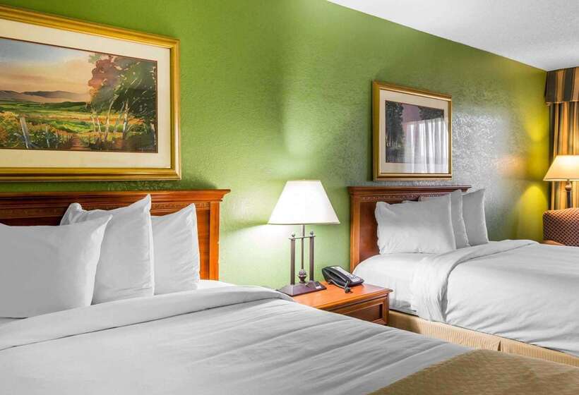 호텔 Quality Inn & Suites