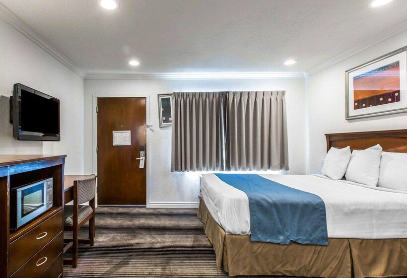 ホテル Rodeway Inn & Suites Pacific Coast Highway