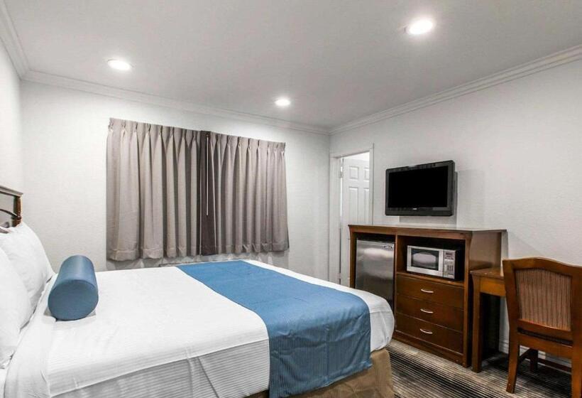 ホテル Rodeway Inn & Suites Pacific Coast Highway
