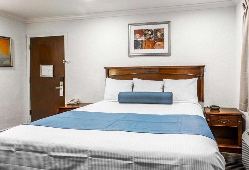 ホテル Rodeway Inn & Suites Pacific Coast Highway