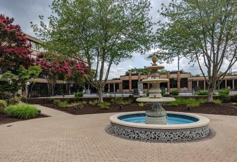 ホテル Solomons Inn Resort & Marina