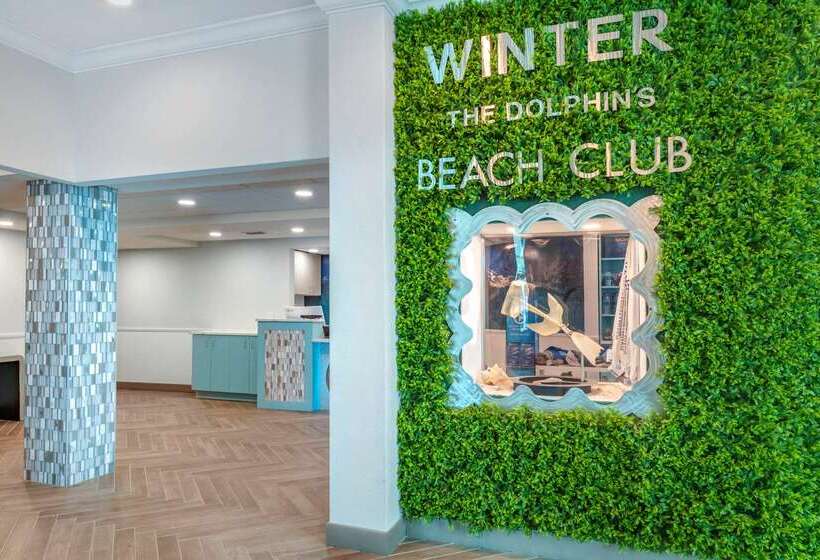 Winter The Dolphin S Beach Club, Ascend Hotel Collection