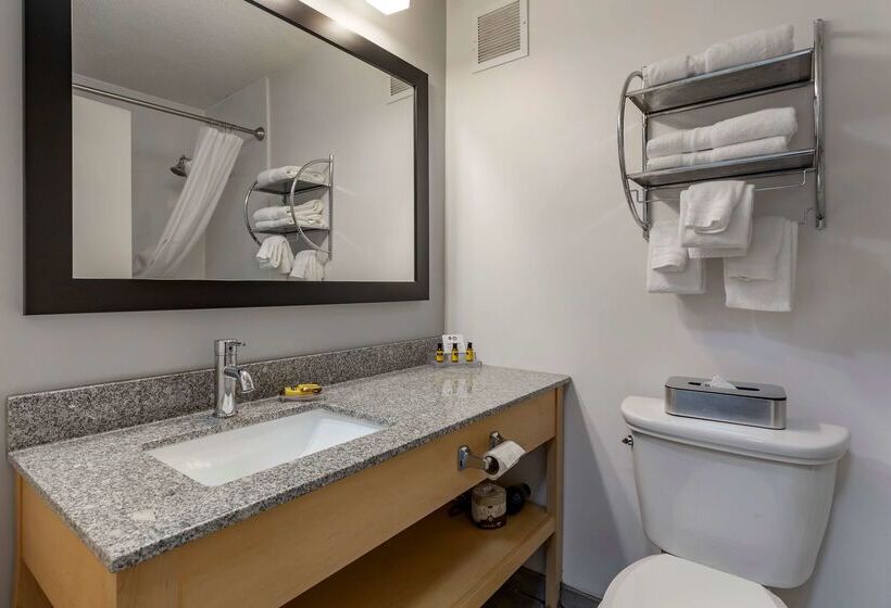 فندق Best Western Plus University Inn