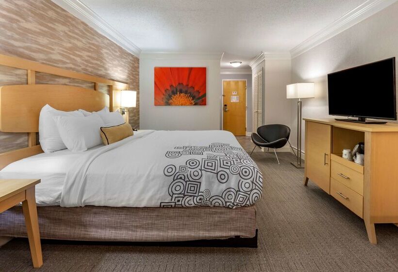 فندق Best Western Plus University Inn
