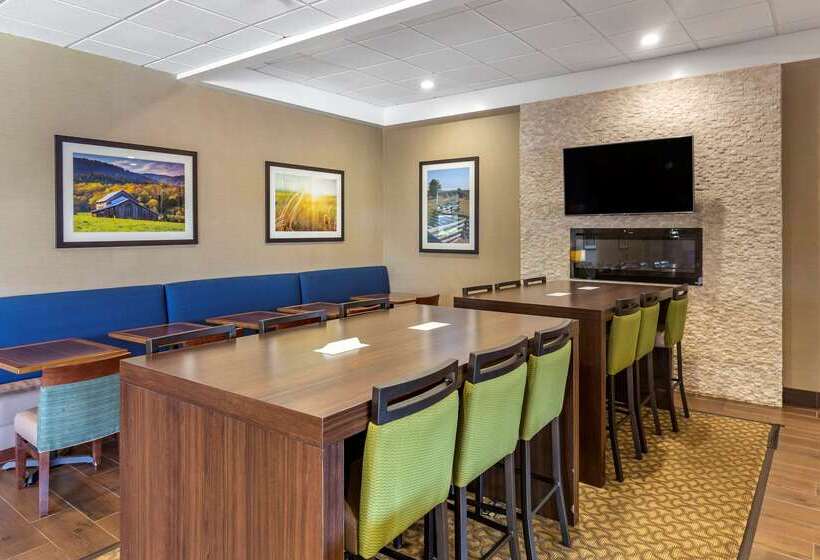 Отель Comfort Inn & Suites Near Danville Mall