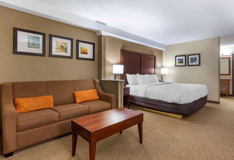 Отель Comfort Inn & Suites Near Danville Mall