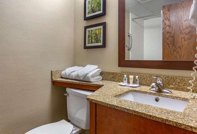 Отель Comfort Inn & Suites Near Danville Mall