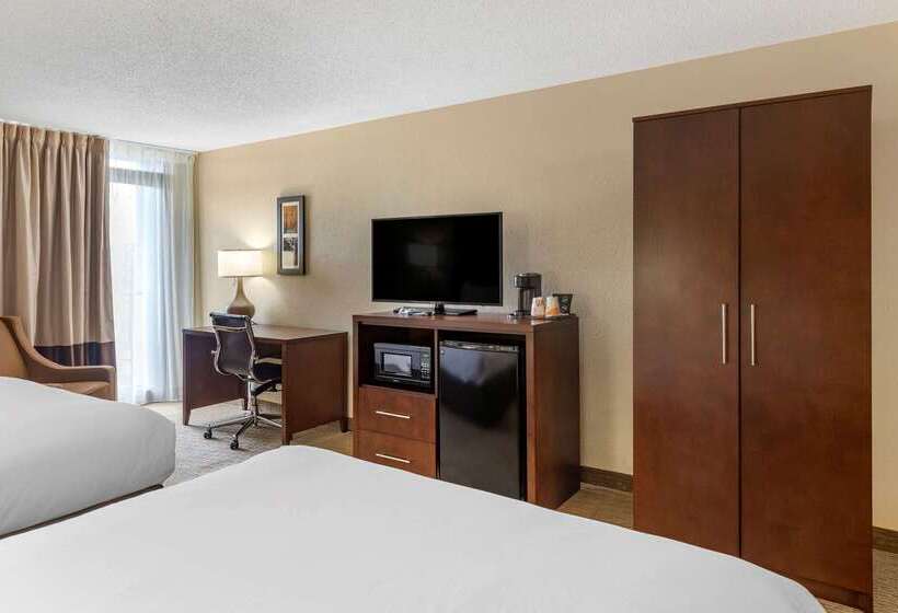 Отель Comfort Inn & Suites Near Danville Mall
