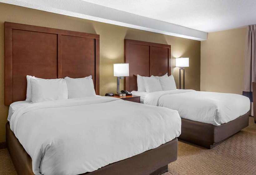 Отель Comfort Inn & Suites Near Danville Mall