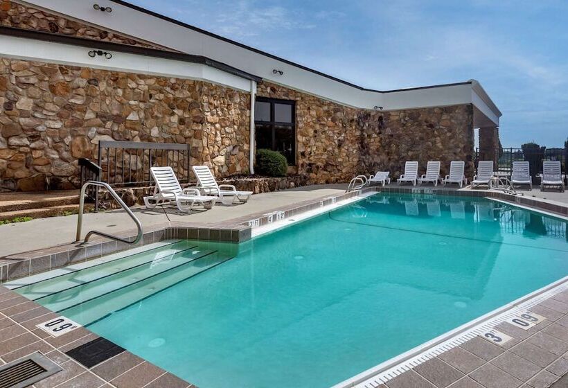 Отель Comfort Inn & Suites Near Danville Mall