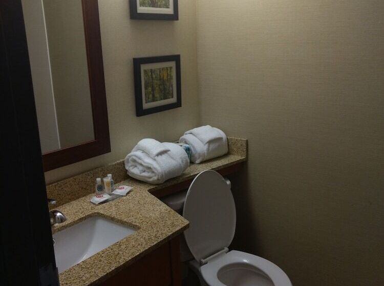 Отель Comfort Inn & Suites Near Danville Mall