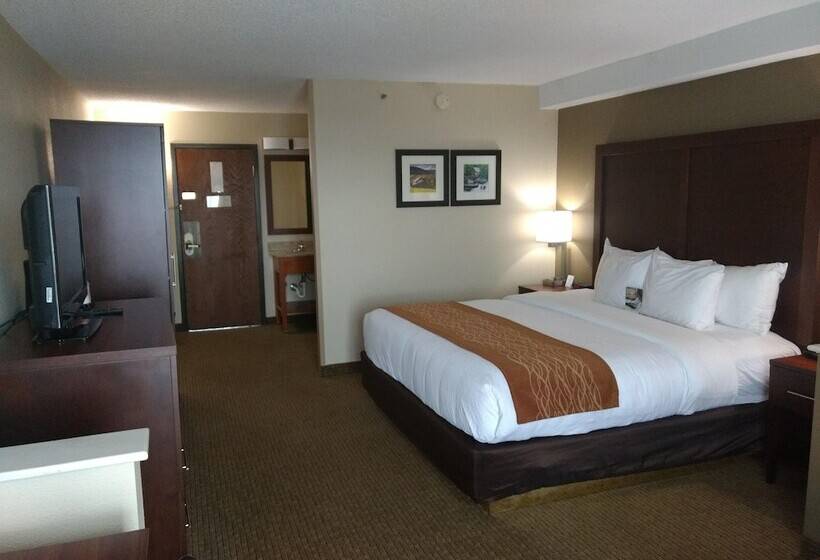 Отель Comfort Inn & Suites Near Danville Mall