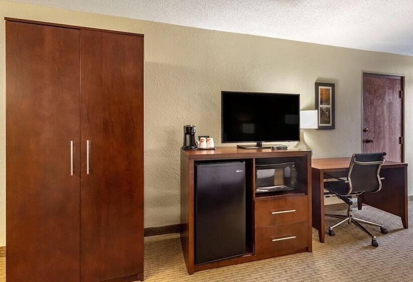 Отель Comfort Inn & Suites Near Danville Mall