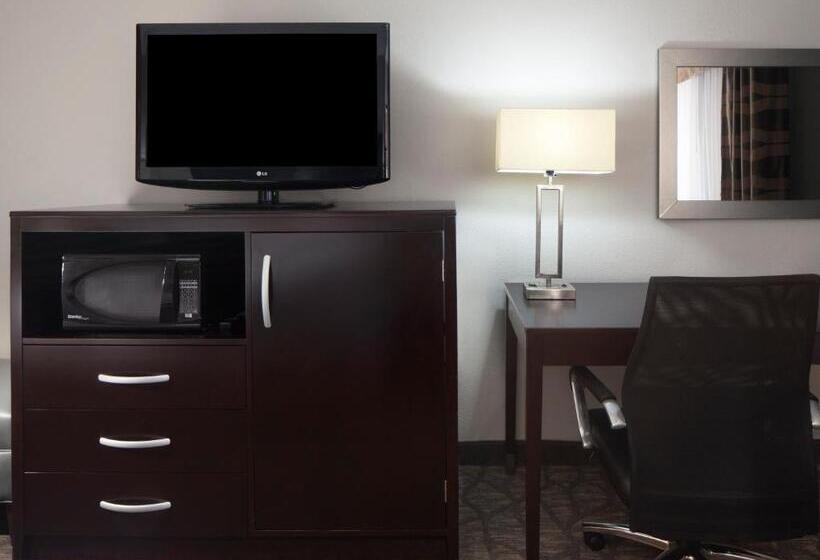 هتل Holiday Inn Corpus Christi Arpt & Conf Ctr, An Ihg