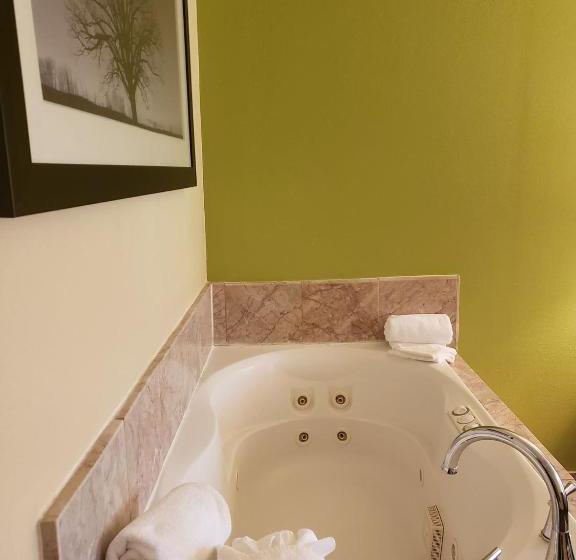 هتل Days Inn By Wyndham Asheville/mall