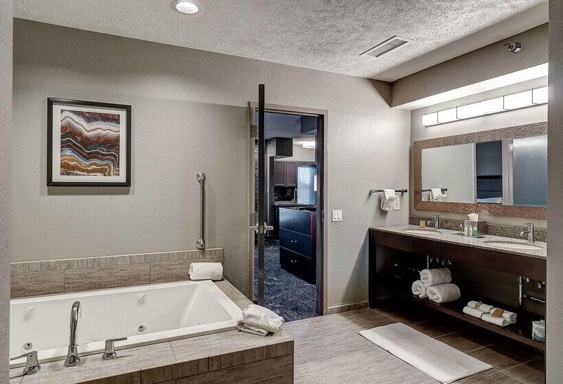 Doubletree By Hilton Hotel Bloomington