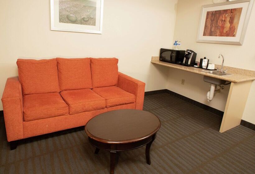 هتل Hilton Garden Inn Springfield, Il