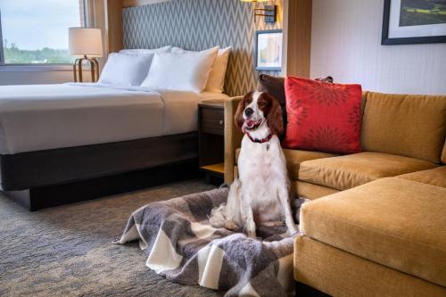 هتل Holiday Inn Charlottesville Monticello, An Ihg