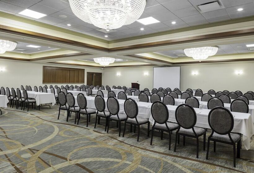 בית מלון כפרי Holiday Inn Chicago Sw Countryside Confctr By Ihg
