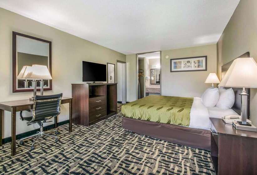 ホテル Quality Inn & Suites