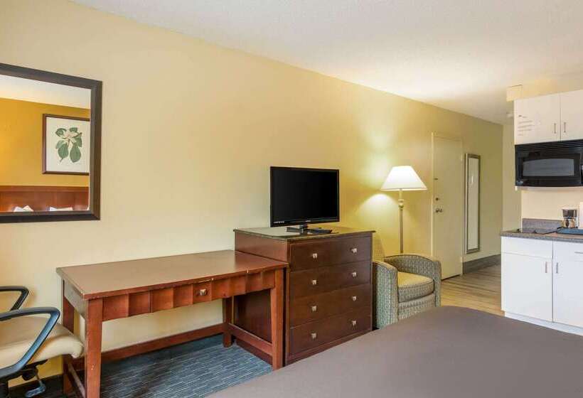 בית מלון כפרי Suburban Studios Chester I95