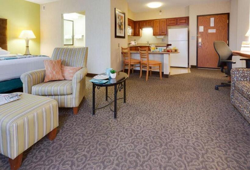 هتل Drury Inn & Suites Mcallen