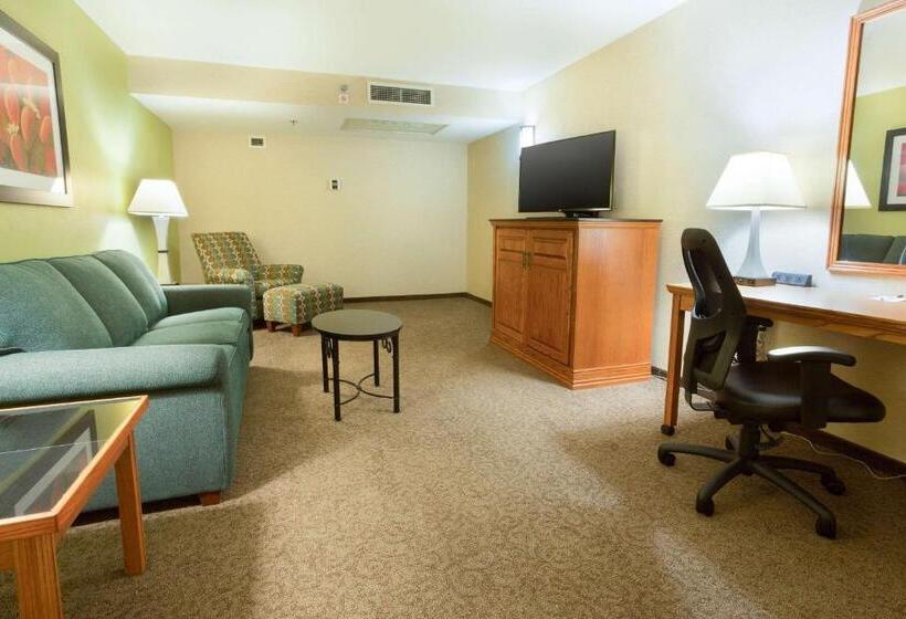 هتل Drury Inn & Suites Mcallen