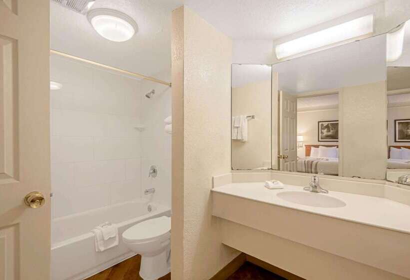 هتل La Quinta Inn By Wyndham San Antonio Market Square