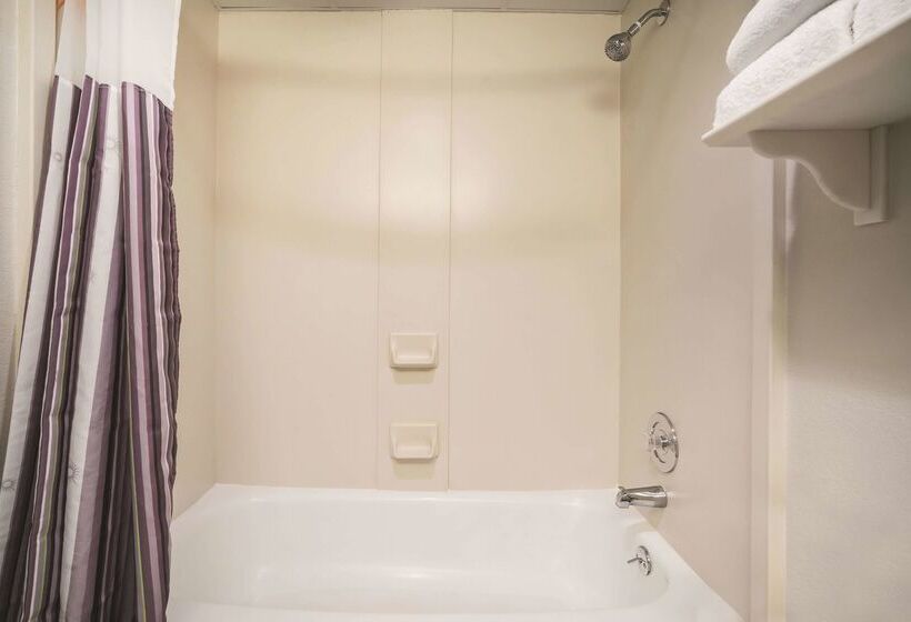 هتل La Quinta By Wyndham Dfw Airport South / Irving