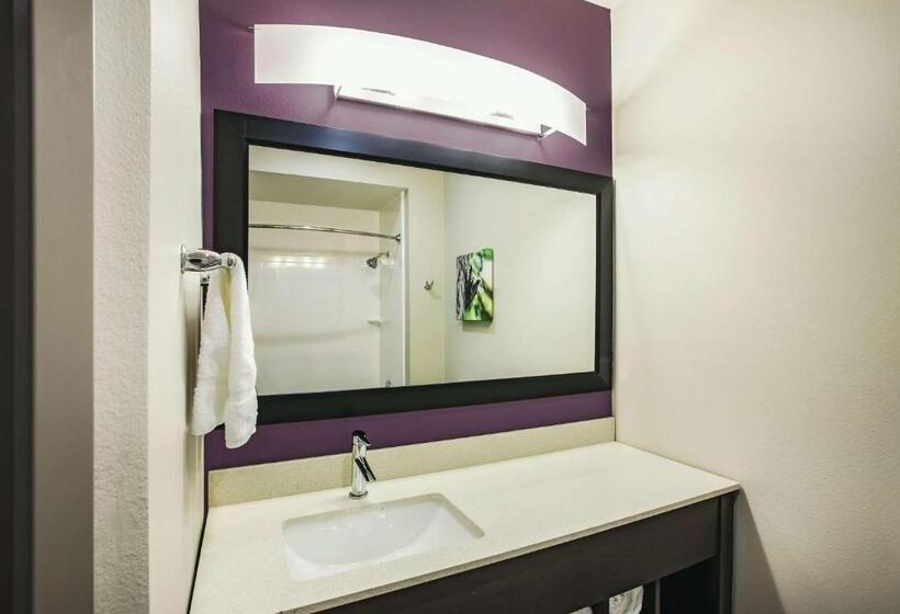 בית מלון כפרי La Quinta By Wyndham Mcallen La Plaza Mall