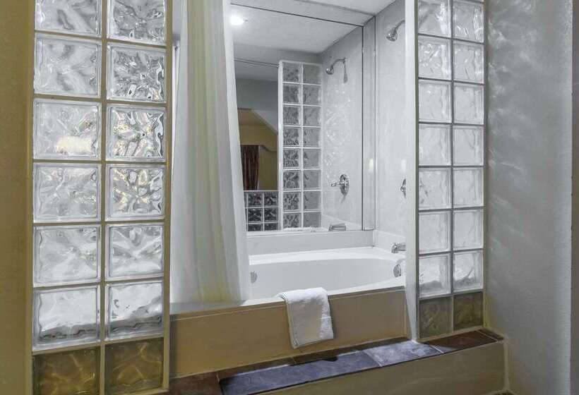هتل Rodeway Inn & Suites