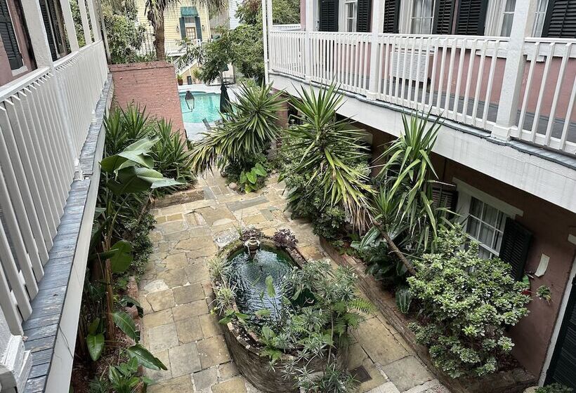 Lamothe House Hotel A French Quarter Guest Houses Property