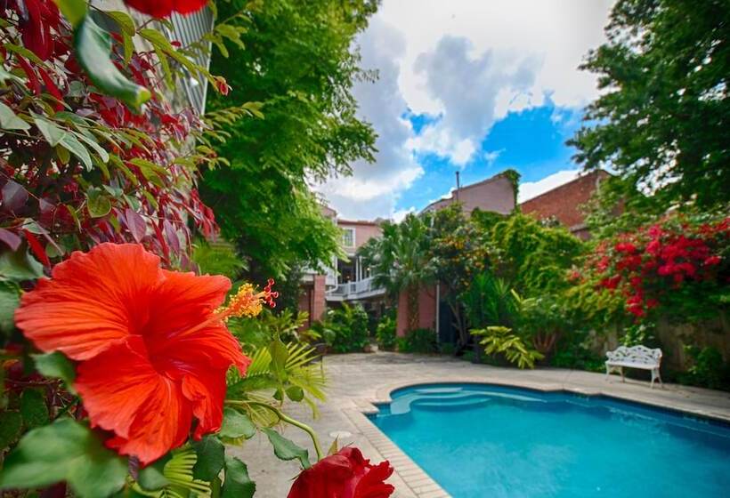 Lamothe House Hotel A French Quarter Guest Houses Property