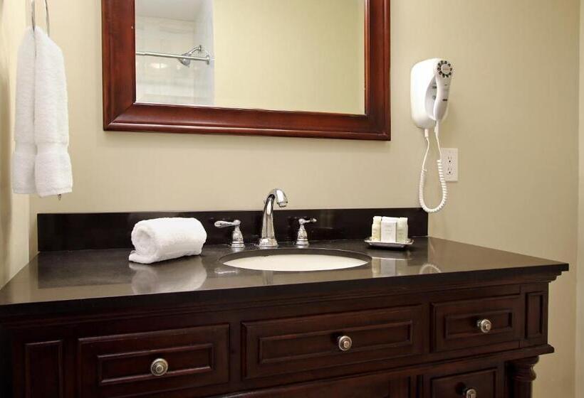 Lamothe House Hotel A French Quarter Guest Houses Property