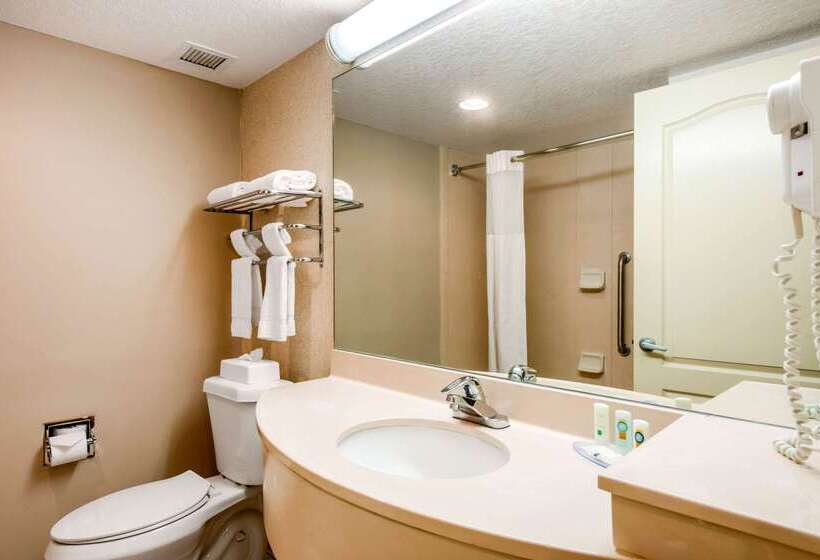 리조트 Quality Inn & Suites Tarpon Springs South