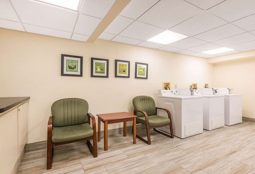 리조트 Quality Inn & Suites Tarpon Springs South