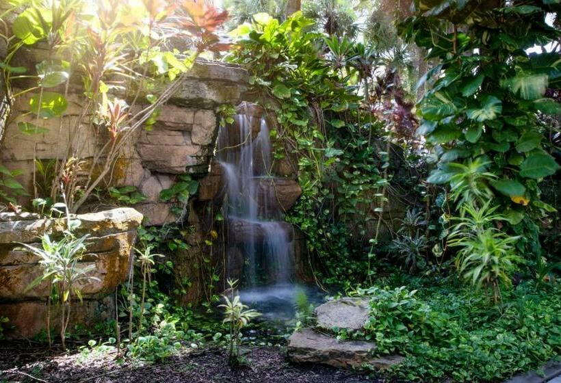 استراحتگاه Delta Hotels By Marriott Orlando Celebration