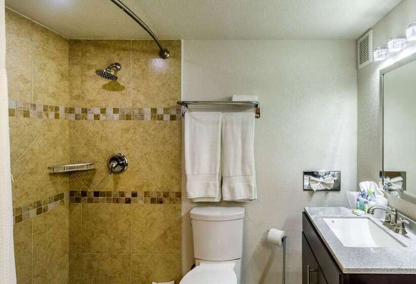 هتل Clarion Inn Near Mcallen Airport