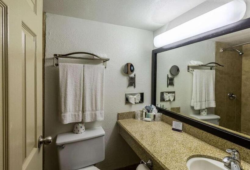 هتل Clarion Inn Near Mcallen Airport