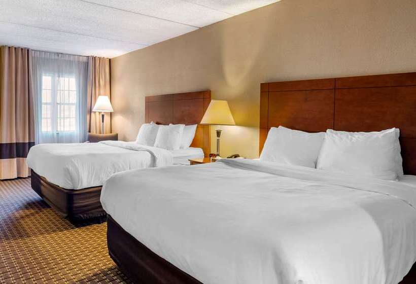 호텔 Comfort Inn & Suites Raphine  Lexington Near I81 And I64