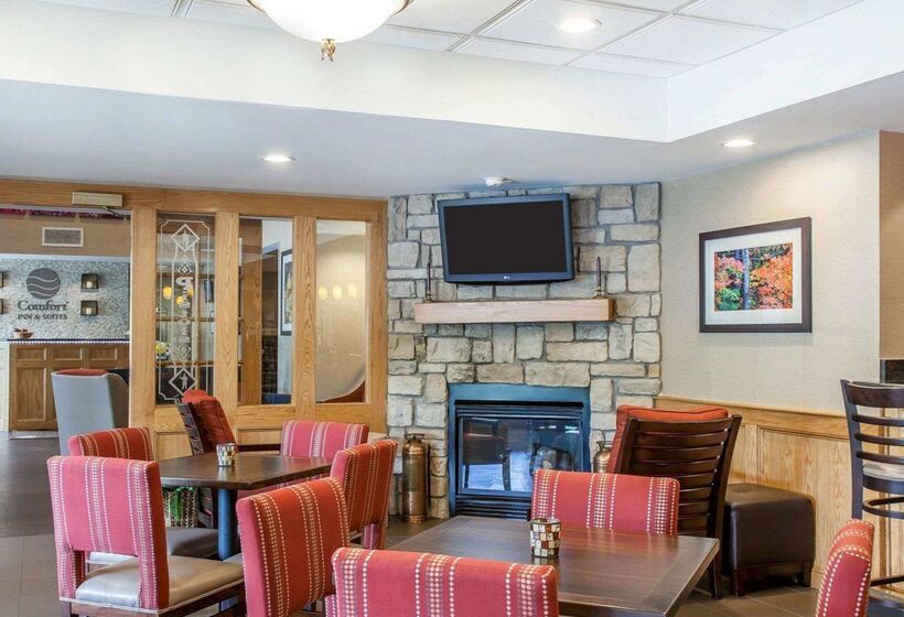 酒店 Comfort Inn & Suites Sturbridgebrimfield