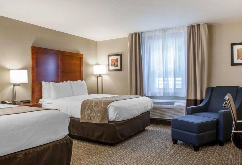 酒店 Comfort Inn & Suites Sturbridgebrimfield