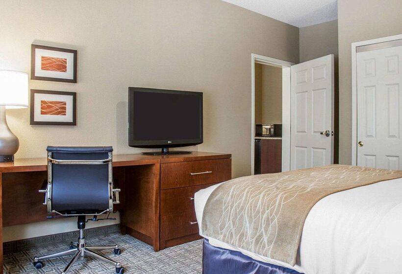 酒店 Comfort Inn & Suites Sturbridgebrimfield